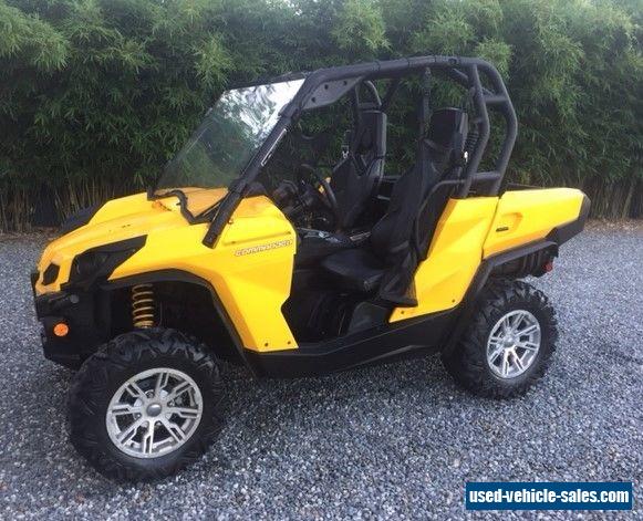 2 seater off road buggy for sale
