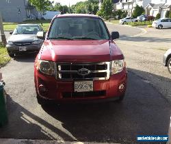 Ford: Escape XLT for Sale