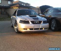 Ford: Mustang 35 Anniversary Edition for Sale