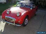 1960 Austin Healey Sprite for Sale