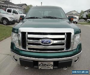 Ford: F-150 XLT