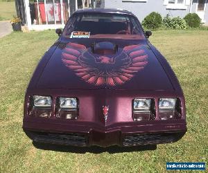 Pontiac: Trans Am