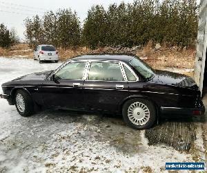 Jaguar: XJ12 6.0 V12