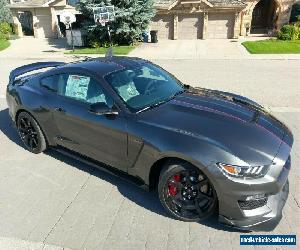 Ford: Mustang Shelby GT350R