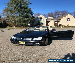 2007 Mercedes-Benz CLK-Class Burl Walnut Wood Trim