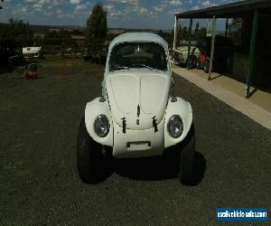 Vw beetle baja