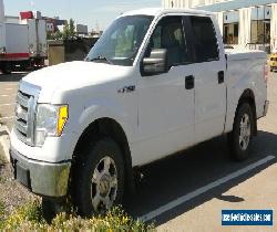 Ford: F150 XLT for Sale