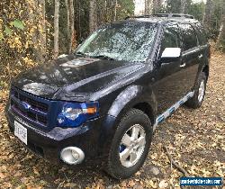 Ford: Escape custom for Sale