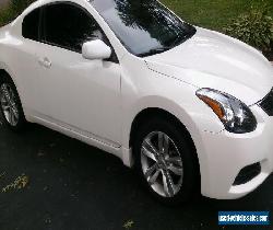 2010 Nissan Altima for Sale