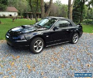 2003 Ford Mustang