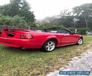 1999 Ford Mustang