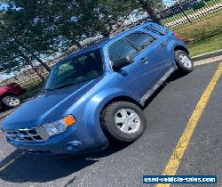 2010 Ford Escape XLT for Sale