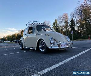 1967 Volkswagen Beetle - Classic