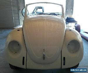 1968 Volkswagen Beetle - Classic