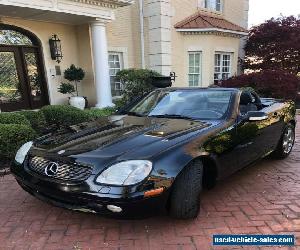 2001 Mercedes-Benz SLK-Class for Sale