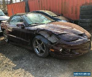 2002 Pontiac Firebird