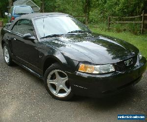 2000 Ford Mustang GT Convertible