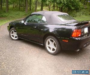 2000 Ford Mustang GT Convertible