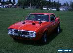 Pontiac: Firebird for Sale