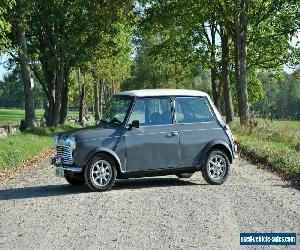 1981 Austin Mini