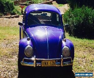 Volkswagen  Beetle