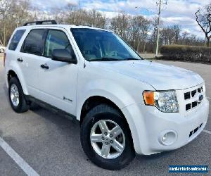 2011 Ford Escape LOW MILES, Florida Car, Family, Clean, Gas Saver!