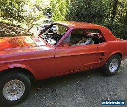 1967 Ford Mustang for Sale