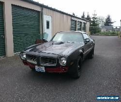 1976 Pontiac Firebird Trans Am for Sale