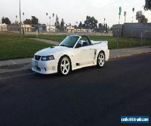 2000 Ford Mustang Saleen S281