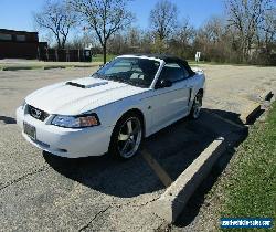 2002 Ford Mustang GT Dexlue/Premium for Sale