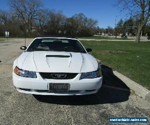 2002 Ford Mustang GT Dexlue/Premium