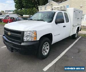 2009 Chevrolet Silverado 1500 Work Truck