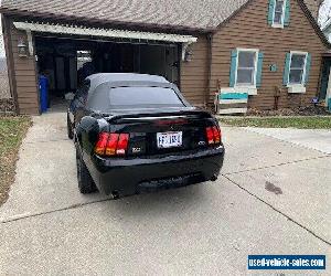1999 Ford Mustang COBRA