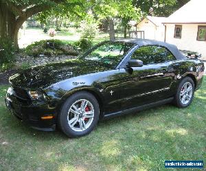 2010 Ford Mustang