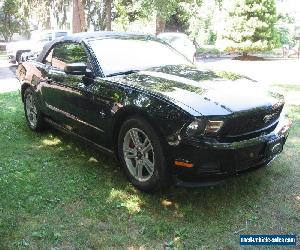 2010 Ford Mustang