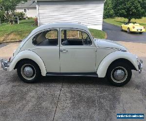 1967 Volkswagen Beetle - Classic