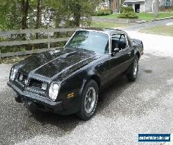 1975 PONTIAC FIREBIRD TRANS-AM for Sale