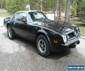 1975 PONTIAC FIREBIRD TRANS-AM