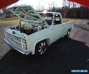 1981 Chevrolet Other Pickups c10