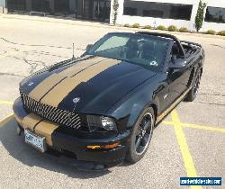 2007 Shelby Shelby GT-H for Sale