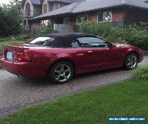 2004 Ford Mustang SVT Cobra