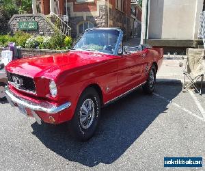 1966 Ford Mustang base