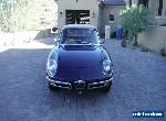 1969 Alfa Romeo Duetto Spider for Sale