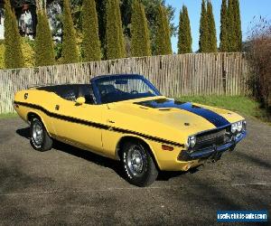 1970 Dodge Challenger for Sale