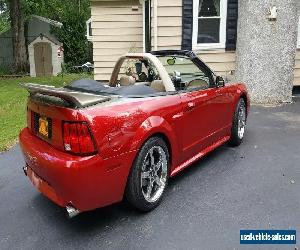 2002 Ford Mustang