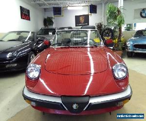 1988 Alfa Romeo Spider Veloce for Sale