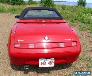 Alfa Romeo: Spider Lusso