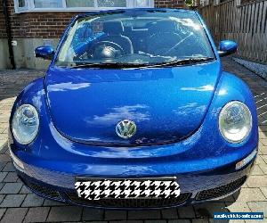 VW Beetle Luna