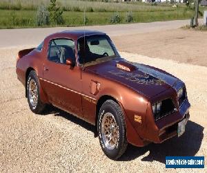 1978 Pontiac Trans Am