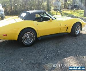 1977 Chevrolet Corvette for Sale